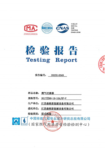 City Gas Pressure Regulator Box Type Test Report